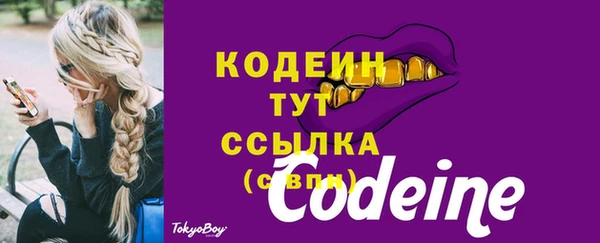 дмт Абаза