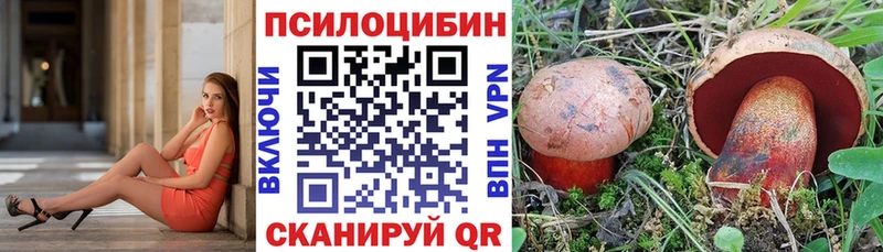 Галлюциногенные грибы Cubensis где продают Дмитровск